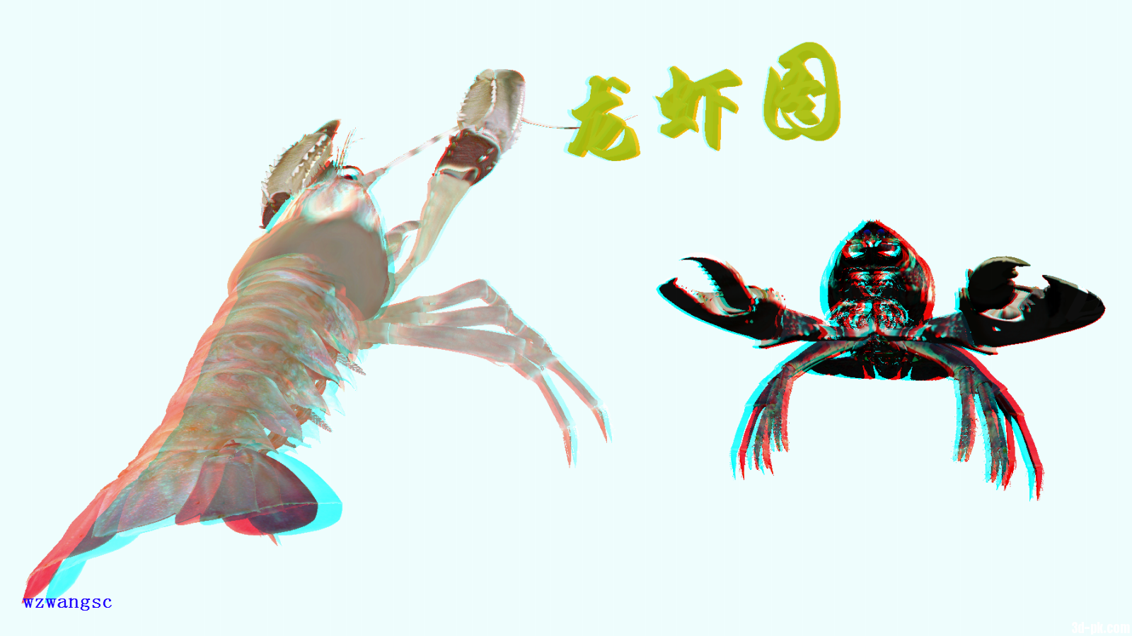 龙虾图2.png